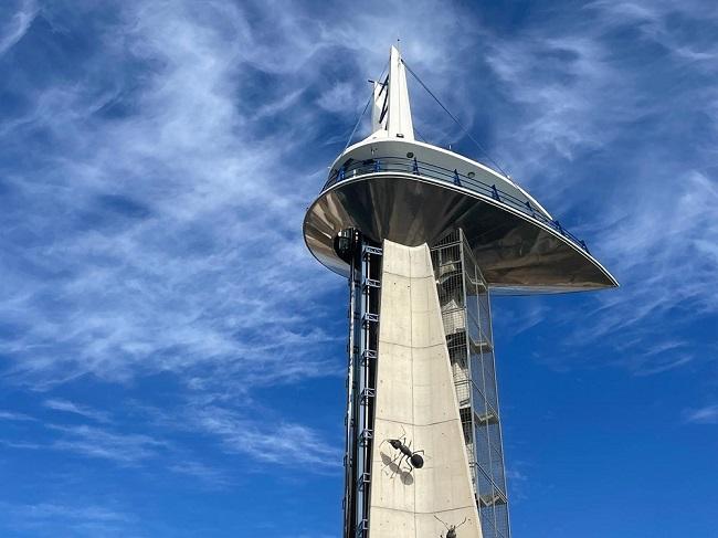 Torre de Observación del Parque de las Ciencias.