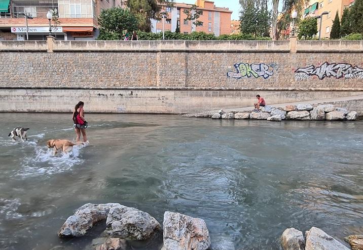 El río Genil, un lugar donde refrescarse de las altas temperaturas.