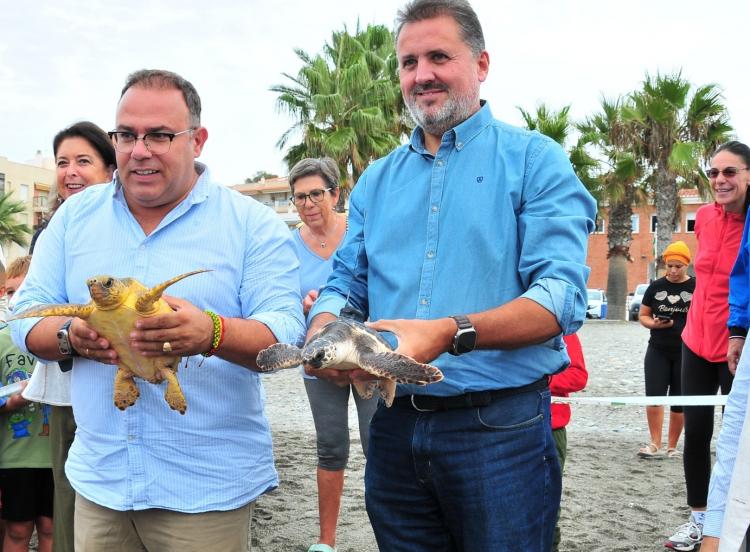 Suelta de las dos tortugas en la playa. 