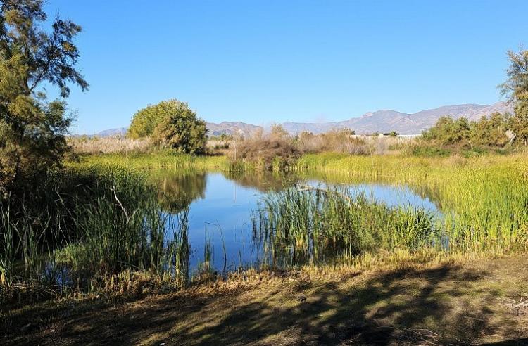 Una de las lagunas de la Charca de Suárez. 