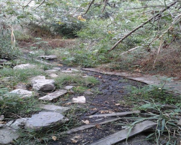 Camino inundado por aguas fecales.