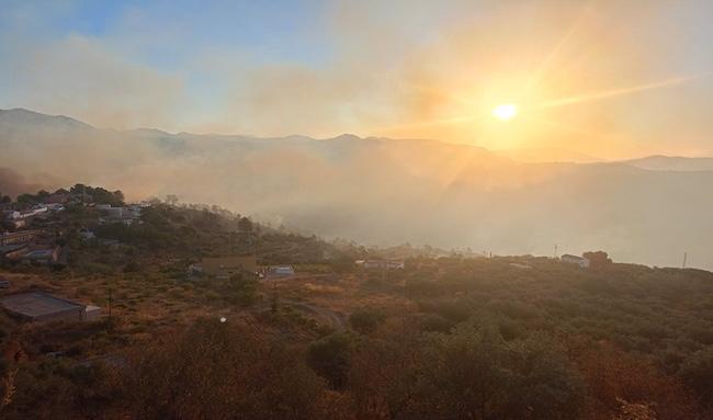 Imagen de archivo de una zona a la llegó el fuego de Almuñécar.