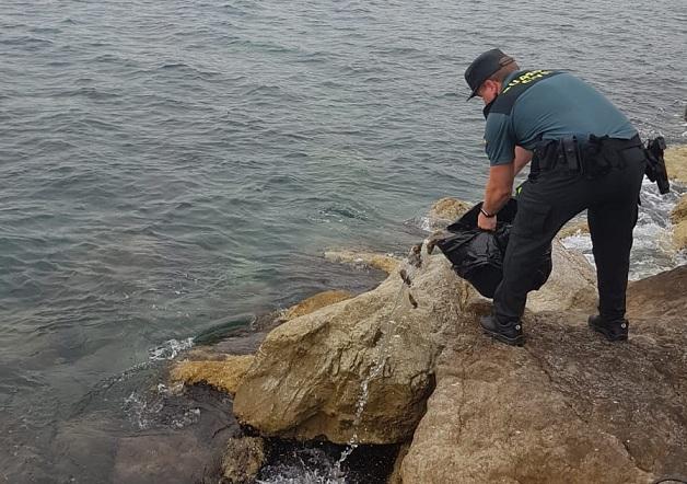 Un agente devuelve las ortiguillas al mar.