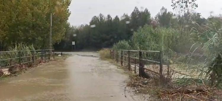 Arroyo del Salado a las 16.10 horas de este miércoles. 