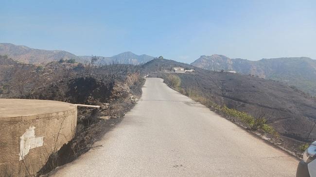 Imagen del miércoles, de un camino con zona quemada a ambos lados.