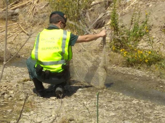 Redes usadas para capturar los jilgueros en el río Jate. 