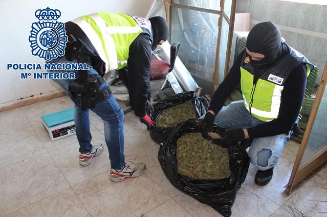 Agentes requisan marihuana en una de las viviendas de la zona Norte. 