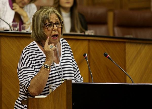 La consejera en una intervención en el Pleno del Parlamento.