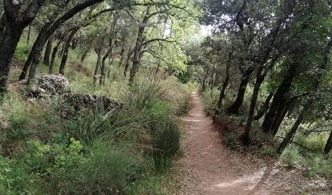 Sendero de la Acequia del Fardes, zona donde se localizó al anciano. 