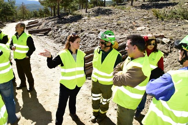 El objetivo es evitar la rápida propagación de los fuegos. 