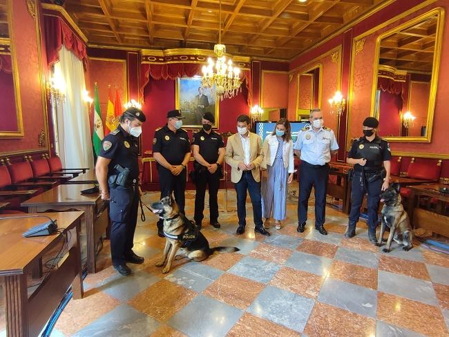 Recepción a la Unidad Canina de la Policía Local de Granada en el Ayuntamiento.