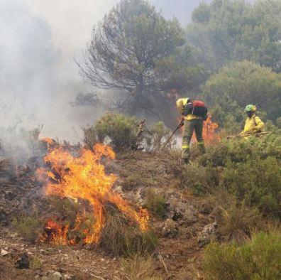 Bomberos trabajan en el fuego de Albuñuelas.