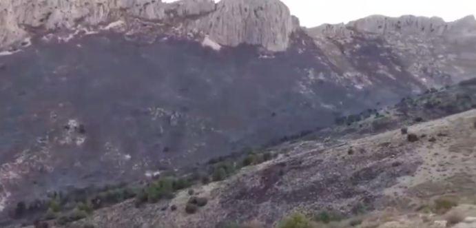 Parte de la superficie quemada en el incendio de Sierra Arana. 