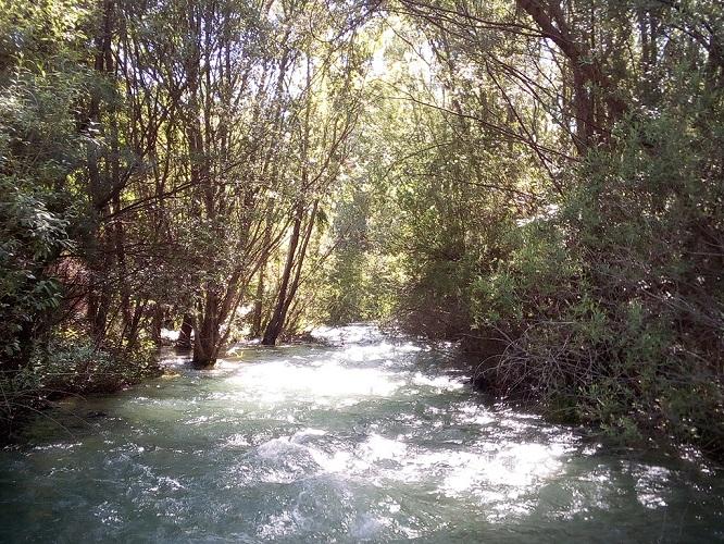 Río Genil entre Granada y Cenes. 