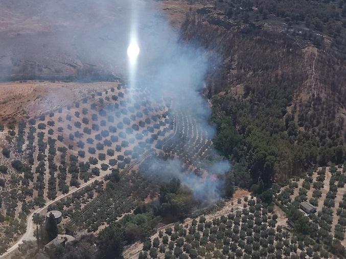 Imagen aérea del fuego, en una zona agrícola y forestal. 