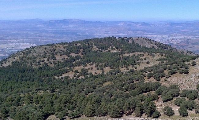 Cerro de Huenes.