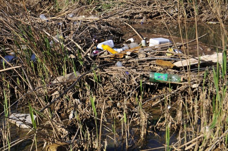 Todo tipo de botes de plástico y basura se acumula en los carrizales del humedal.