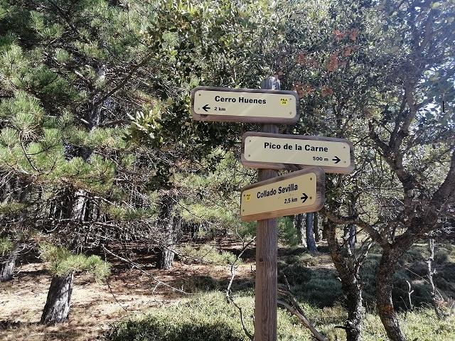 Señalización en las inmediaciones del Cerro de Huenes. 