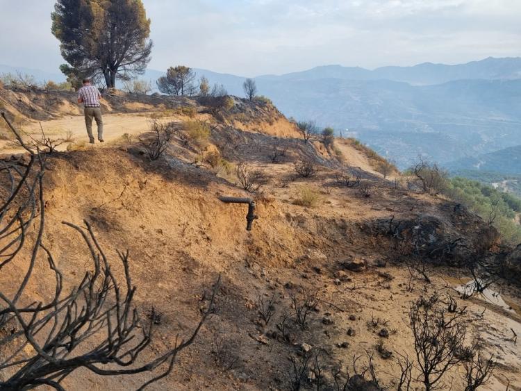 Imagen desoladora del incendio más devastador en la provincia en lo que va del siglo XXI.