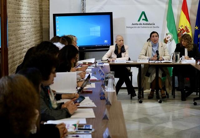 Loles López, en el pleno del Consejo Andaluz de Participación de las Mujeres. 