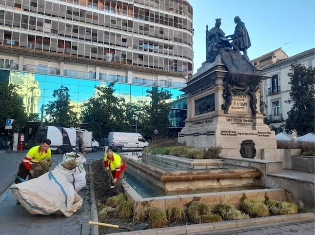 Trabajos de jardinería en la estatua de Isabel La Católica y Cristóbal Colón.