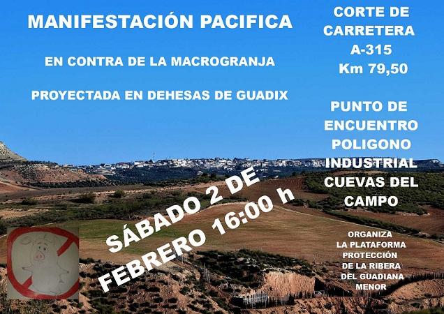 Cartel de la convocatoria de manifestación.