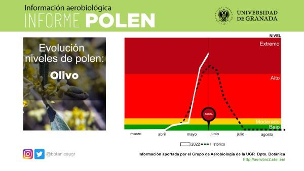 Nivel de polen del olivo en Granada capital. 