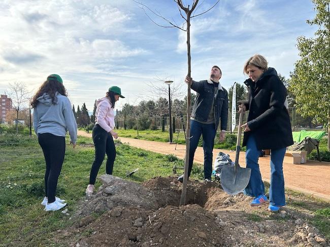 Una de las plantaciones de árboles.