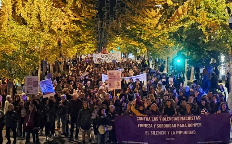 Imagen de la manifestación este lunes, 25N.