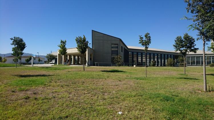 La plantación se hará junto a la Biblioteca de Medicina y Ciencias de la Salud.