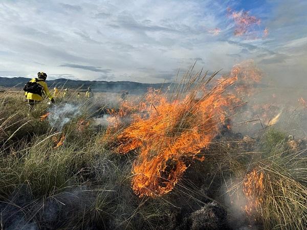 Fuego de la quema prescrita en el monte público de Cerros de Abajo.