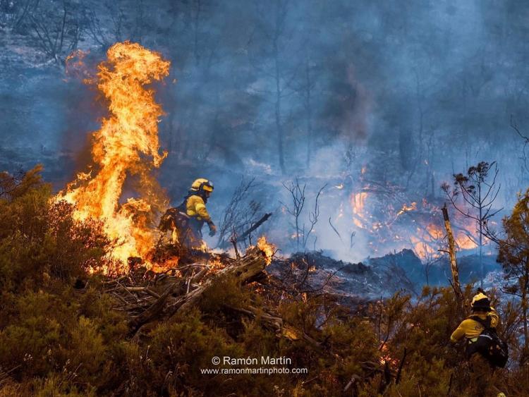 Efectivos del Infoca luchan contra el fuego en Los Guájares.