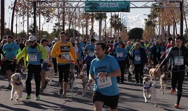 Salida de la carrera del año pasado en Almería. 