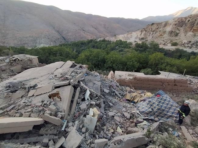 Unidad canina busca supervivientes en una zona devastada por el terremoto en Marruecos.