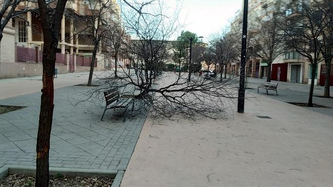 Árbol caído en Torre de Peralada. 