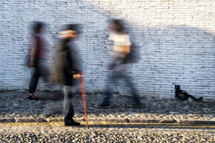 'El observador silencioso', fotografía ganadora del Premio Albayzín.