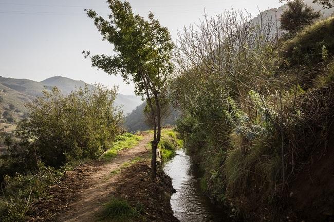 Imagen de la Acequia Real de la Alhambra.