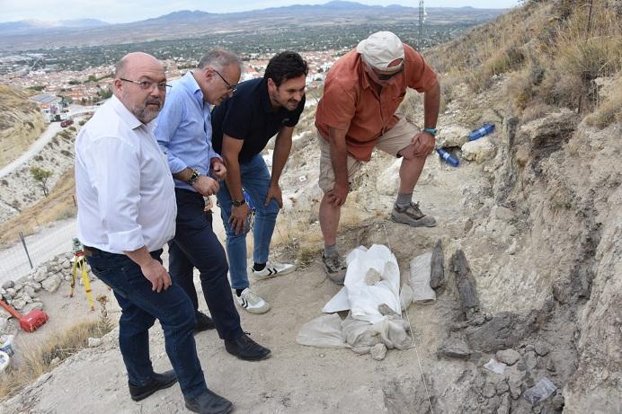 Algunos de los restos encontrados en el yacimiento. 