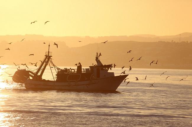 Barco de pesca. 