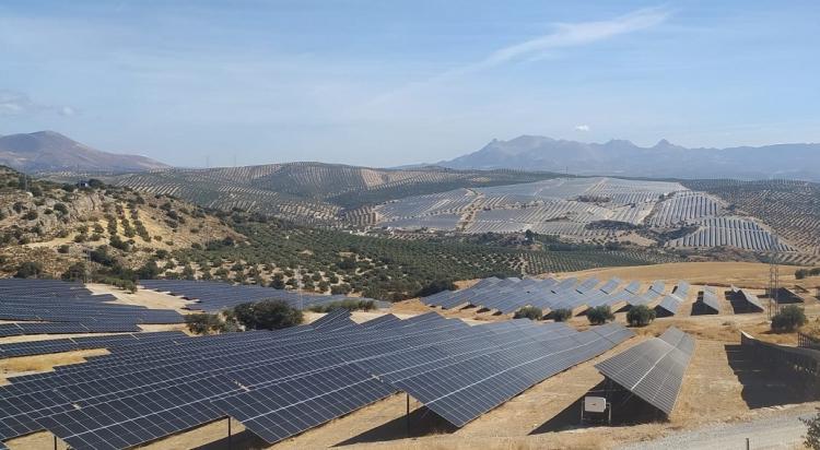 En primer término, paneles de la planta Coracha y, al fondo, los de Cimera, las dos de la empresa Ignis inaugurados este martes en Pinos Puente, que suman más de 160 hectárea de placas fotovoltaicas..