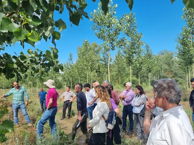 El sábado 16 de noviembre tendrá lugar una formación práctica en diversas choperas de la Vega.