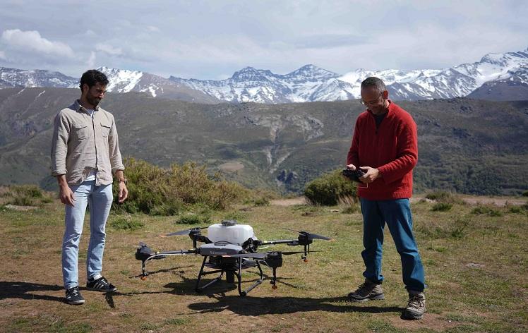 Un proyecto pionero busca garantizar el exito en la siembra forestal con drones fracasada hasta ahora El Independiente de Granada