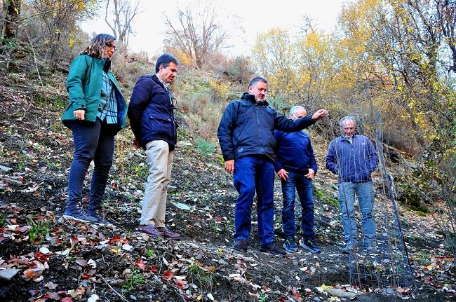 Zona donde se ha llevado a cabo la plantación de estos ejemplares, considerados una especie amenazada.