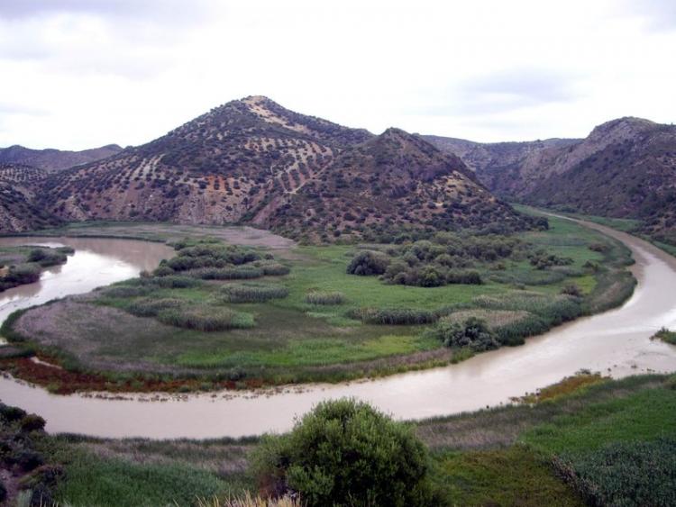 Meandro del río Genil.