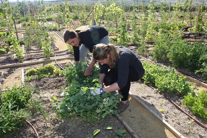 El paro en la agricultura granadina subió en 166 personas en febrero. 