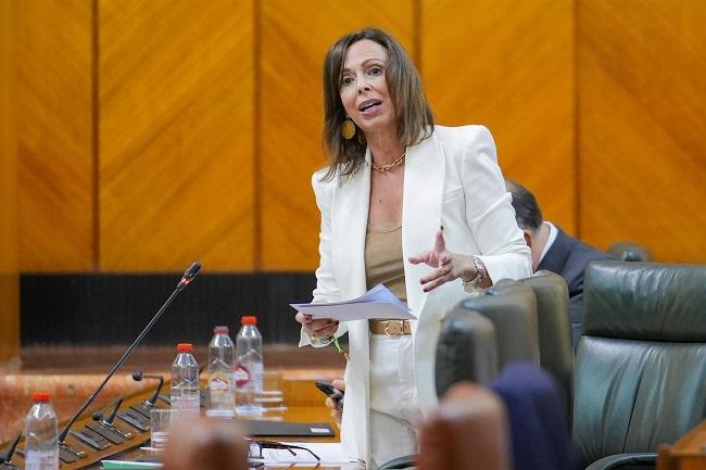 Rocío Díaz, en una intervención en el Parlamento.