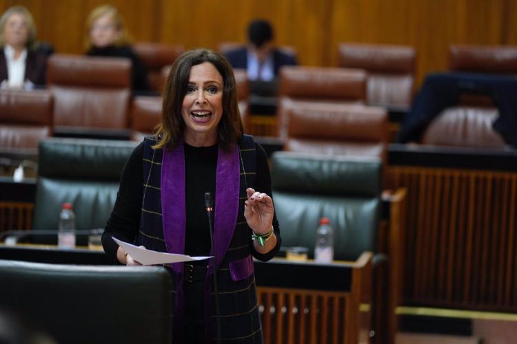 Rocío Díaz, en el pleno del Parlamento.