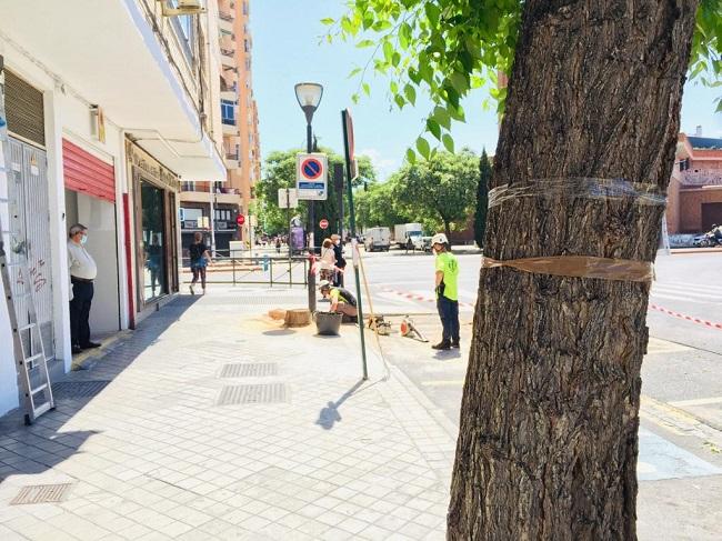 Las talas comenzaron el miércoles.