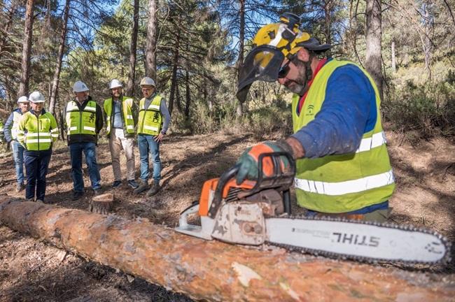 Visita de la Junta a trabajos preventivos contra los incendios forestales. 