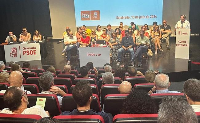 Entrena, durante su intervención en el comité provincial.